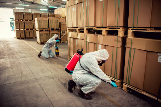 Best Cockroach Control Services  in Hastings, MI
