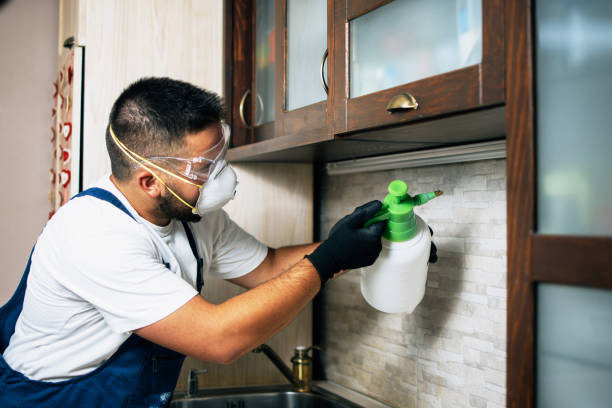 Best Exterminator Services  in Hastings, MI