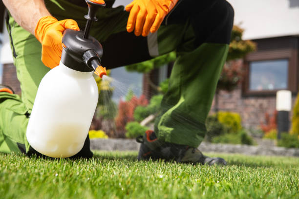 Best Emergency Pest Control  in Hastings, MI