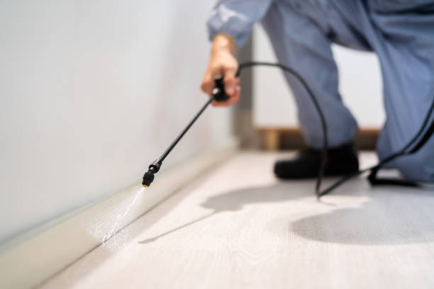 Best Pest Prevention Services  in Hastings, MI