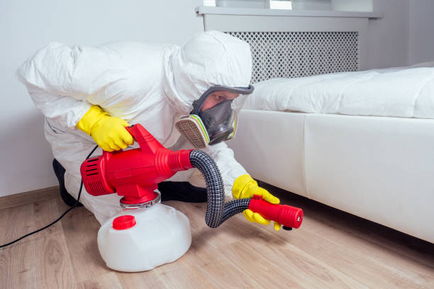 Trusted Hastings, MI Pest Control Experts