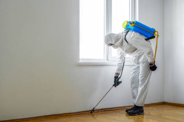 Best Pest Removal Services  in Hastings, MI
