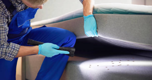 Best Affordable Pest Control Services  in Hastings, MI