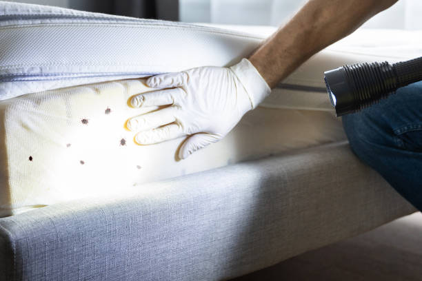 Best Residential Pest Control  in Hastings, MI