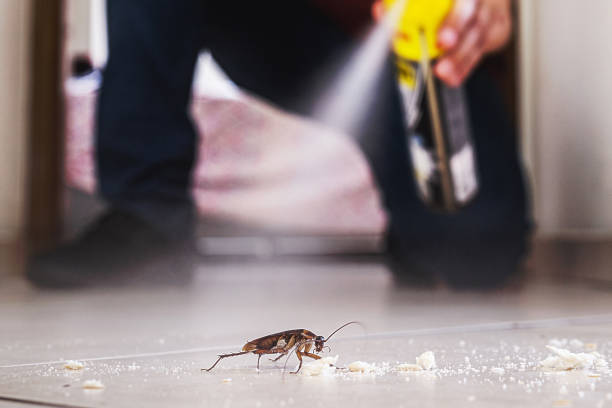 Best Wasp Removal Services  in Hastings, MI