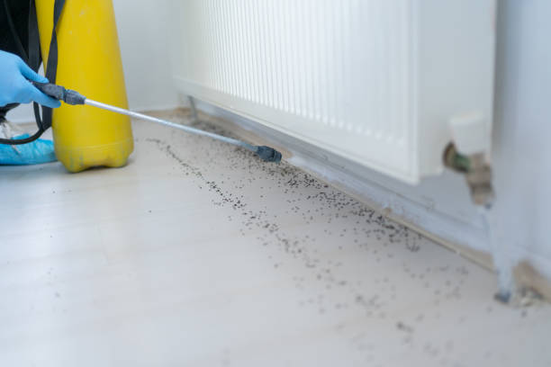 Reliable Hastings, MI Pest Control Solutions