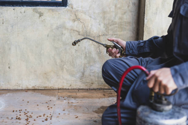 Pest Control Cost in Hastings, MI