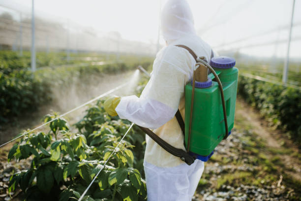 Best Local Pest Control Services  in Hastings, MI